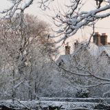 November Snow