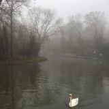 Foggy Day