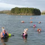 Six Hills Swimming