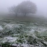 Cold Snap