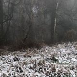 Cold Snap