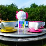 Party in the Park