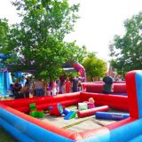 Party in the Park