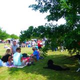 Party in the Park