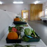 Village Show
