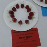 Village Show