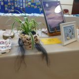 Village Show